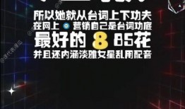 娱乐吃瓜所,揭秘明星幕后故事